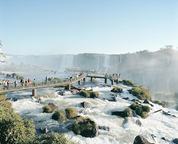 IGUAZU FALLS | TANK
